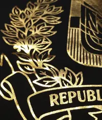 A close up image of a t shirt with a gold foil print